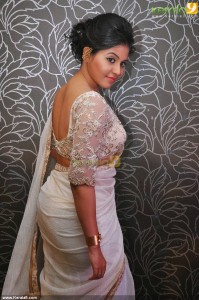 anjali-photos-in-saree-00749