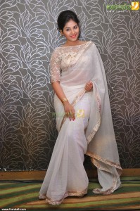 anjali-photos-in-saree43