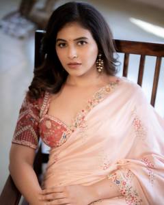 anjali-wearing-thread-work-peach-saree-with-combo-blouse-ideas-photos-007