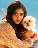 anjali-with-her-pet-photos