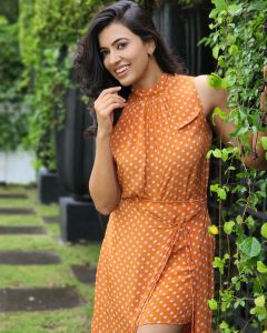 anju-kurian-onam-update-006