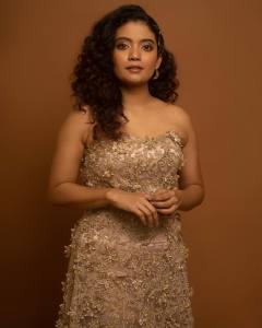 anna-ben-in-golden-shade-gown-dress-photos-002