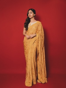 actress-anu-emmanuel-in-raw-mango-colour-saree-photos-009