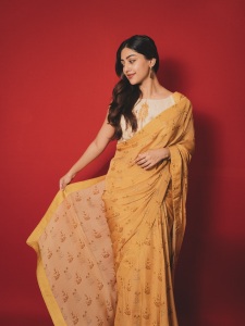 actress-anu-emmanuel-in-raw-mango-colour-saree-photos-010