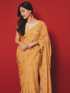 actress-anu-emmanuel-in-raw-mango-colour-saree-photos-012