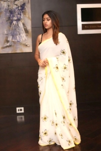 anu-emmanuel-latest-saree-photos-09-431