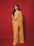 actress-anu-emmanuel-in-raw-mango-colour-saree-photos-009