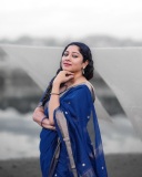actress-anumol-in-blue-cotton-saree-photos-001