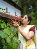 anumol-in-traditional-kerala-setsaree-with-blouse-combination-pics-001