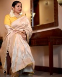 anumol-in-golden-saree-with-yellow-blouse-photos-004