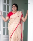 anumol-new-photos-in-pattu-saree