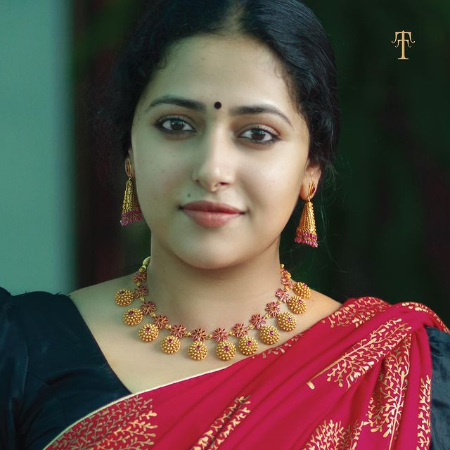actress-anu-sithara-saree-photos