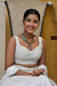 Karthikeya 2 Actress Anupama Parameswaran Pictures