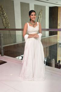 Actress Anupama Parameswaran Pictures @ Karthikeya 2 Movie Press Meet