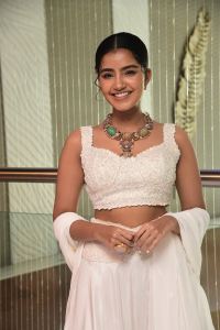 Karthikeya 2 Heroine Anupama Parameswaran Pictures