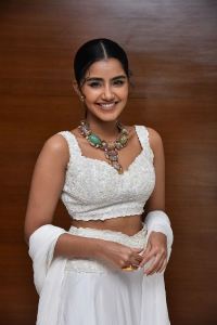 Actress Anupama Parameswaran Pictures @ Karthikeya 2 Press Meet