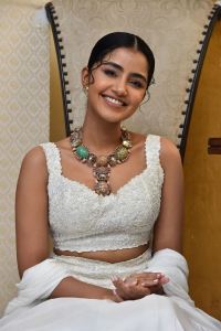 Karthikeya 2 Actress Anupama Parameswaran Pictures