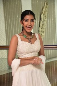 Karthikeya 2 Actress Anupama Parameswaran Pictures