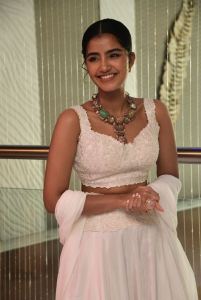 Karthikeya 2 Actress Anupama Parameswaran Pictures