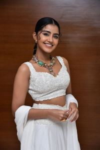 Karthikeya 2 Actress Anupama Parameswaran Pictures