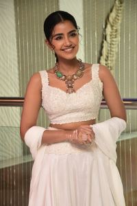Karthikeya 2 Heroine Anupama Parameswaran Pictures