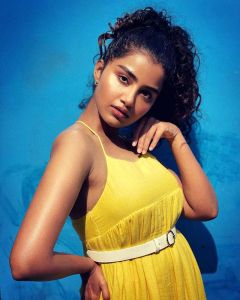 anupama-latest-pics-007
