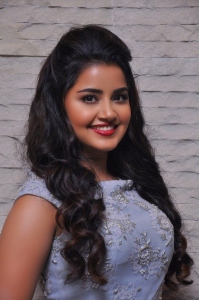 anupama-parameswaran-images-990-00210