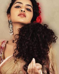 anupama-parameswaran-in-cotton-saree-images-004