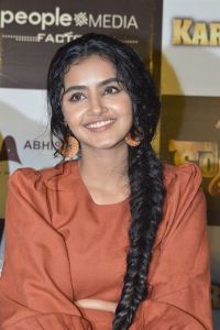 Karthikeya 2 Movie Actress Anupama Parameswaran Pics