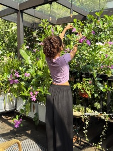anupama-parameswaran-in-ribbed-short-sleeved-crop-top-in-a-soft-lavender-shade-and-black-pants-comfortable-daytime-wear-photos-001