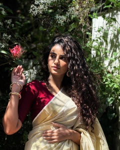 anupama-parameswaran-in-set-saree-with-maroon-blouse-photos-009
