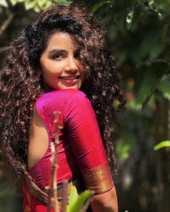 anupama-parameswaran-in-violet-check-design-pattu-saree-002