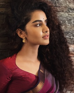 anupama-parameswaran-in-violet-check-design-pattu-saree-007