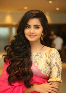 anupama-parameswaran-latest-event-shoot-photos-00542