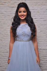 anupama-parameswaran-latest-photos-123-0015