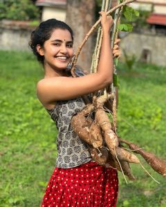 anupama-parameswaran-new-photos-941-003