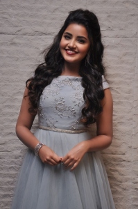 anupama-parameswaran-photos-121-02449