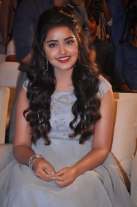 anupama-parameswaran-photos-121-0269