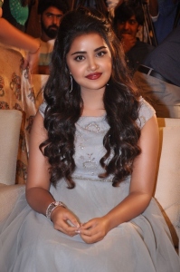 anupama-parameswaran-photos-121-02739