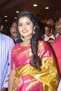 anupama-parameswaran-photos-123-05644