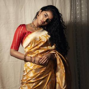 anupama-parameswaran-photos-in-pattu-saree-latest-008
