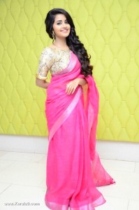 anupama-parameswaran-pictures-300-00387