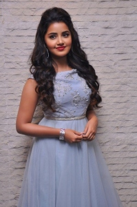 anupama-parameswaran-pictures-333-00398