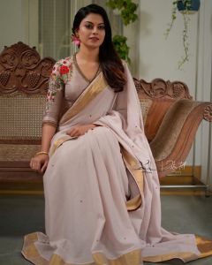 Anusree in saree photos2313