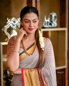 anusree-in-kanchipuram-saree-with-traditional-makeup-look-photos-001