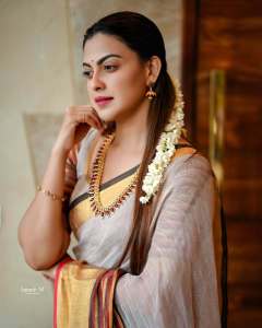 anusree-in-kanchipuram-saree-with-traditional-makeup-look-photos