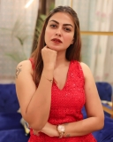 anusree-in-red-sleeveless-dress-photos