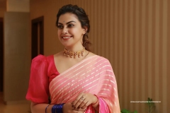 anusree-new-photos-in-pattu-pavadai