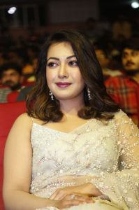 Bimbisara Movie Actress Catherine Tresa in Saree Pics