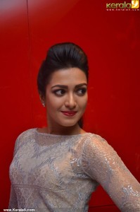 catherine-tresa-latest-stills-530-00167